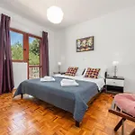 Pine Zadarvillas *