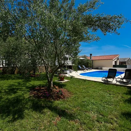Pine Zadarvillas *