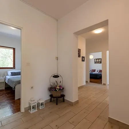 Villa Pine Zadarvillas *